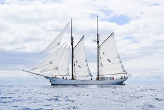 alternativee Transport mit dem Segelschiff